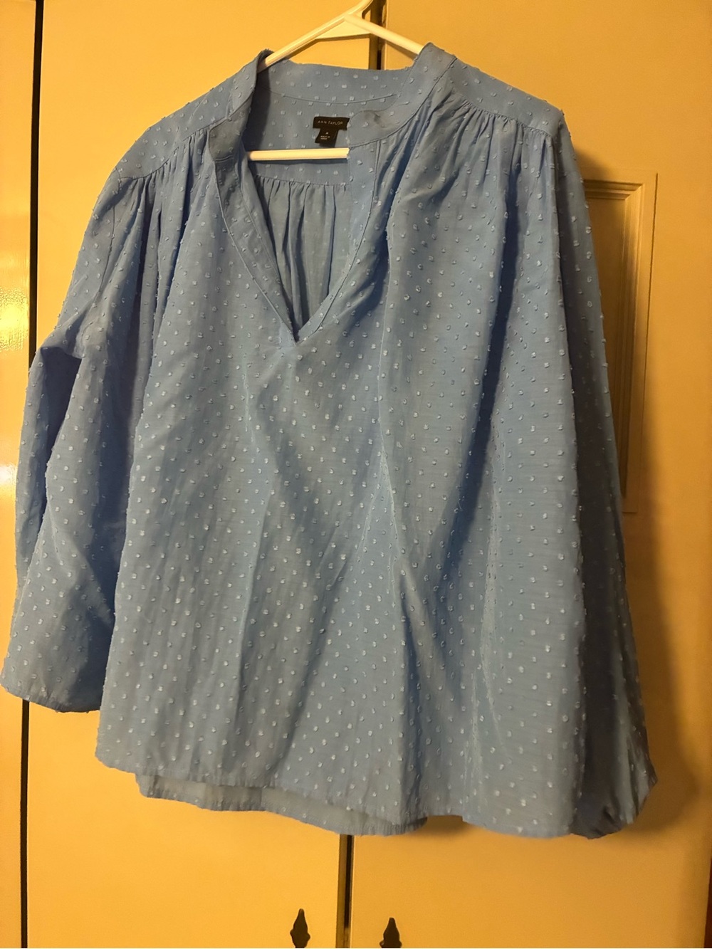 Ann Taylor Powder Blue Swiss Dot V-Neck Peasant Top